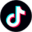 tiktok-color-100x100